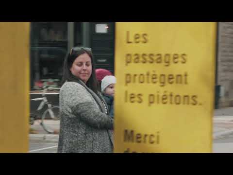 To przejście zmusza kierowców do zatrzymania się. Nagranie robi furorę w sieci