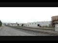 An old survuvor from Amtrak's fleet of 216 F40's, Amtrak 90251 in de-powered form leads a cascades train.