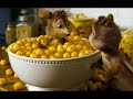 Damein Marley - Jamrock[chipmunkstyle]