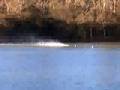 25 mono hull Bulletproof