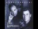 Stuart Adamson-The Raphaels/Blue Rose LIVE