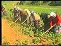 boyabat boyali köyü yaylasi boyabat57.com