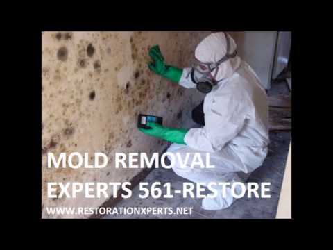 how to locate damp smell