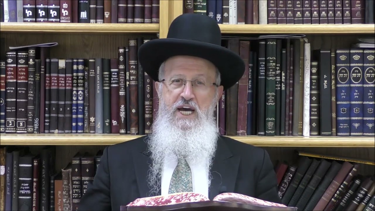 הגאון הרב אברהם יוסף שליט"א מה הם הדוגמאות שיהיה מותר לברך את ברכת שהחיינו בימי בין המצרים