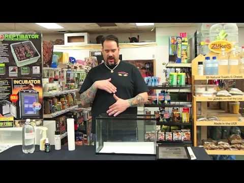 how to treat mites