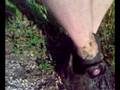 Adidas get muddy