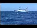 Trapani e Mazara del Vallo Distretto pesca