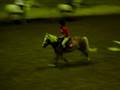 videos de Saut avec Plume