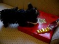 Yan Yan and Lay Chi Navidad 2009 (1/3)
