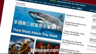 101自然教室:我們都誤會鯊魚了!