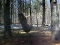 cool karate moves
