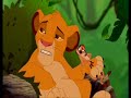 Simba wants to borrow Your top!