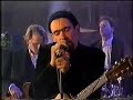 American Music Club - Gratitude Walks