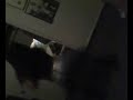 Video01041753,,