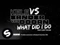 Kele & Sander Van Doorn What Did I Do Video and Lyrics