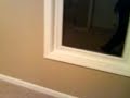 New Apartment