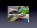 Nokia E90 Keynote