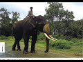 ACTION AID.wmv