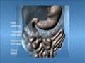 GiMEGA Gastrointestinal Multi-Variant Drug