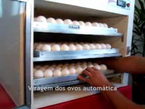 Chocadeira 240 ovos