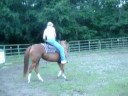 M.R.'s First Ride on Juni
