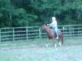 M.R.'s First Ride on Juni