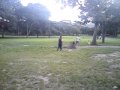 parkour 21