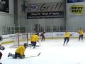 good goaile save islanders