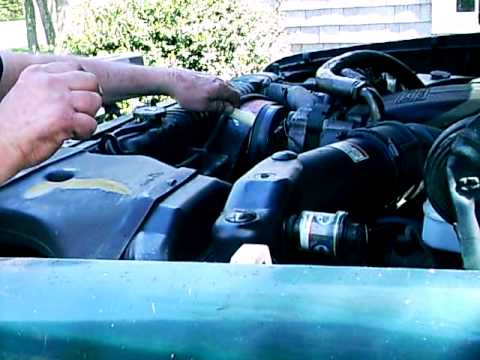 how to fix a squealing belt