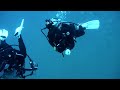Koh tao diving/ Chumpon pinnacle