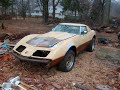 WRECKS CRASHES & NEGLECTED MUSCLE CAR COLLECTION