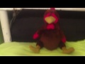 Hi, I'm Waffles the Chicken.