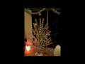 videos de xmas tree