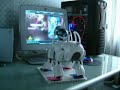 AIBO Daft Punk Technologic