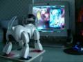 AIBO Daft Punk Technologic