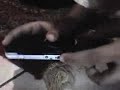 Click here to watch this video PSP(Jogos e Utilidades)