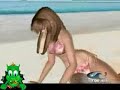 Dead or Alive Xtreme Beach Volleyball