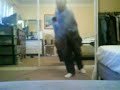 prac shuffle 1