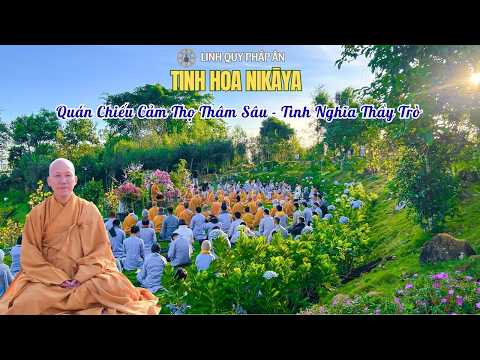 Tinh Hoa NIKAYA - Quán Chiếu Cảm Thọ Thâm Sâu - Tình Nghĩa Thầy Trò