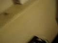 videos de ad amsterdamcon gli amici