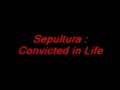 Sepultura-Convicted-