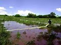 notiregion desborda rio Casas Grandes en Fco.I. Madero