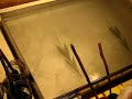 ebru-master-demonstration-turkish-marbling-islamic-art.html