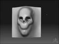 videos de Skull Phase I