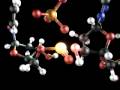 AZT-s-Mechanism-of-A