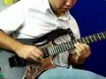 guitarra toneWood