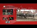 Koh Samui Thailand: Getting Around