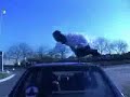 THE REAL LIFE SPIDERMAN 2