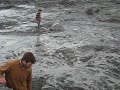feather feet in quicksand feather feet in quicksand
