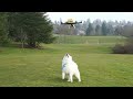 Click here to watch this video RFTC: Best Pet Exerciser Ever!